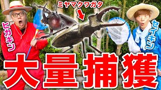 【大量捕獲】森で1日本気でカブトムシ&クワガタ探したら激レア「ミヤマクワガタ」の捕獲成功！?【ヒカキン&セイキン】【2022夏】