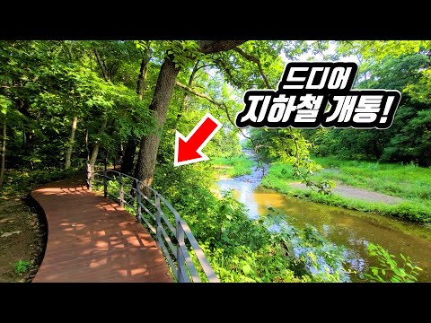 I go trekking to UNESCO Biosphere Reserve by subway in Korea