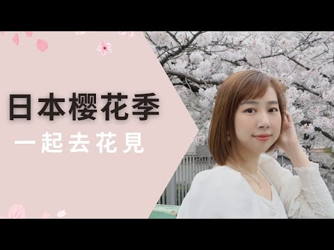 【日本工作休息日做什么？】赏日本樱花🌸｜漫步神田川，一起赏樱｜2022美好春日