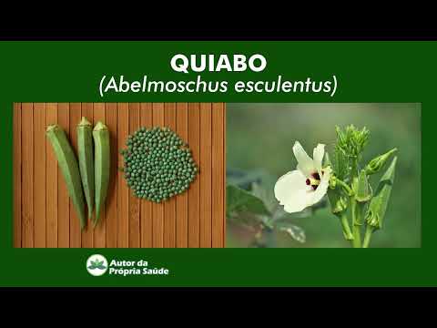 Semente de Quiabo: Uma opção Natural para auxiliar com a Glicemia