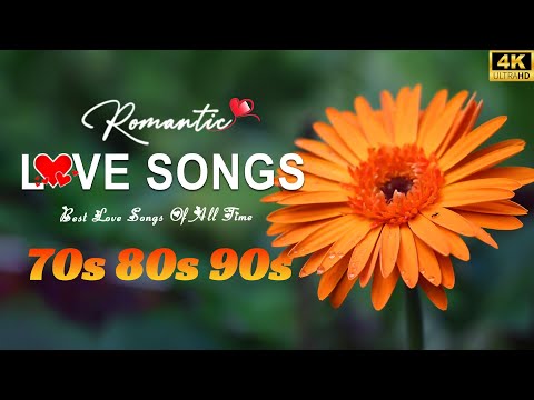 Relaxing Beautiful Love Songs 70s 80s 90s - All Time Greatest Love Songs Westlife. Shyane Ward.MLTR