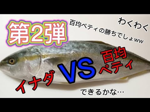 イナダをペティーナイフで捌きます！【基本の型】初心者にも分かりやすい！よね‥#6　#料理　#刺身　#魚を捌く 　#handlethefish