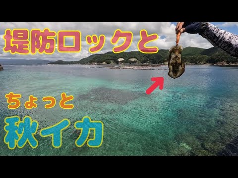 堤防ロックと秋イカ！