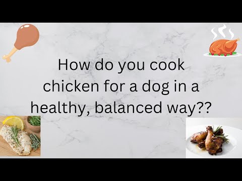 How do you cook chicken for a dog in a healthy, balanced way