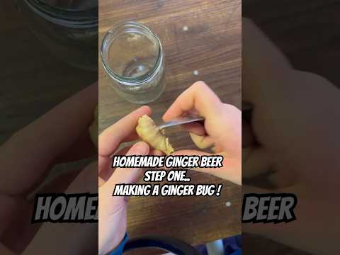 DIY Ginger Beer: Capturing Wild Yeast for Beer Brewing | #fermentation #homebrew