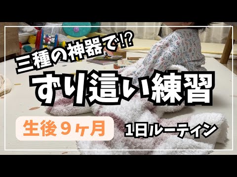 【生後9ヶ月】赤ちゃんとの1日｜保育園面接で正直に言ったら、、｜初発熱フライトキャンセル