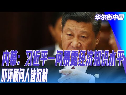 内幕：习近平一问暴露经济知识水平！吓坏顾问人皆沉默｜华尔街中国