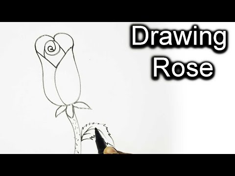 See How Cute Rose Buds Are Painted | Drawing Rose | Drawing Tutorial Episode 6 | Rupkothar Golpo