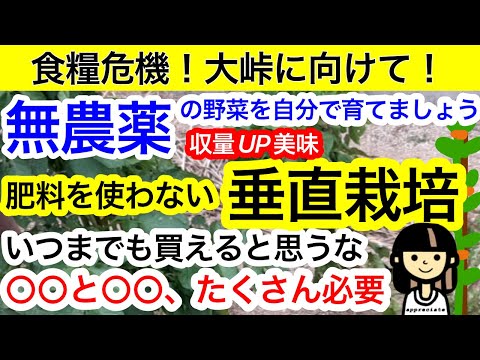 【食糧危機】肥料値上がり、不足の対策として、今こそ！肥料・農薬を必要としない垂直栽培をしよう！その為に必要な道具は今の内に揃えておきましょう。