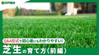 ☘269 ：【Q&A】芝生の育て方＜前編＞｜芝生を植えつけるにあたっての、最適な時期や場所、種類や方法などのご紹介