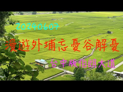 萬ㄟeye台灣20240607漫遊外埔忘憂谷解憂 /台中版伯朗大道/忘憂谷拍照秘境點  4K