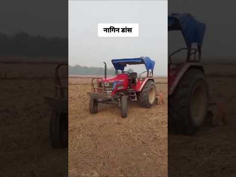 नागिन Dance करता हुआ ट्रैक्टर 😂 #stunt #funny #comedy #mahindratractor #tractorstunt #nagin #tractor