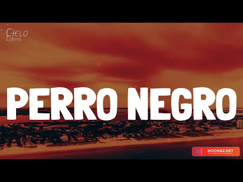 Bad Bunny - PERRO NEGRO (Lyrics/Letra)