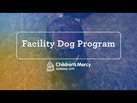 Facility Dog Program