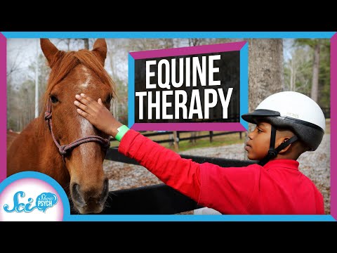 Equine Therapy: Why Horses Might Make Great Therapy Animals