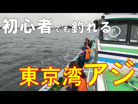 釣りデビューにおすすめ！金沢漁港から東京湾のアジ釣りへ