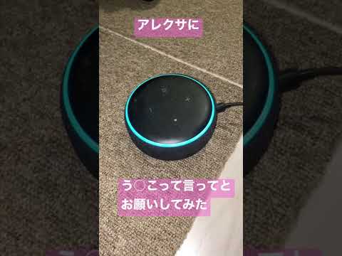 アレクサにう○こって言ってとお願いしてみた　#alexa