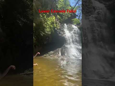 Lower Cascade Falls in Hanging Rock, NC! #summer #shorts #shortvideo