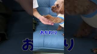 犬を駄目にする『ちゅ○ビー』