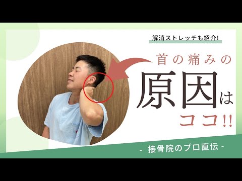 【首の痛み〜頚椎症〜】朝、起きたときに首が痛い、手にシビレがある、力が入りにくい、いつも首から手にかけてだるいときの対処方法！｜接骨院のプロが教えるお家セルフケア｜テラピスト接骨院