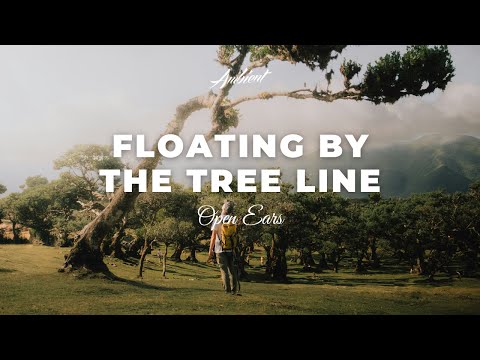 Open Ears - Floating By The Tree Line [ambient meditation relaxing]