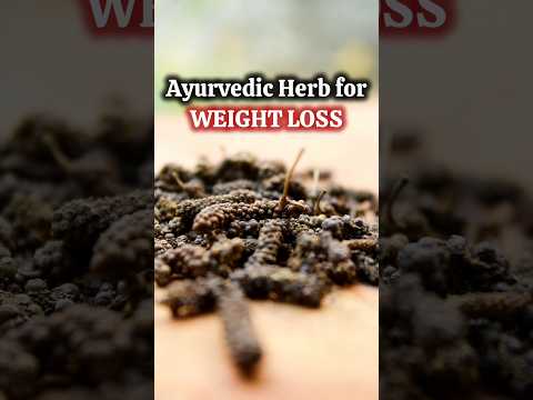 Episode-104 of Vedic Recipes (पिप्पली / Long Pepper)💥Ayurvedic Weight-loss  Remedy #shorts