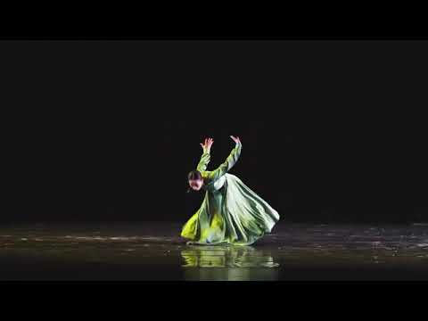 Chinese Dance Tutorial【2023中国顶尖舞者全国作品展演】蒋林蓉 中国舞 《此时依旧》