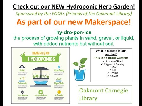 Check out our NEW hydroponic herb garden!