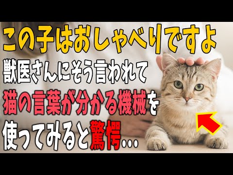 【不思議な話】知人から譲り受けた子猫はよく鳴く子だった。獣医さんに診てもらうと→「この子はおしゃべりが好きなようですよ」「え？」→猫の気持ちが分かる機械を購入すると・・・【朗読】【猫】【感動】