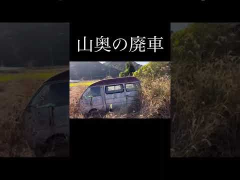 車種はなに？山奥の廃車 #廃車 #草ヒロ #放置車両 #スクラップ