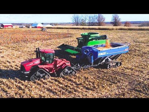 Harvesting this CORN is WILD!