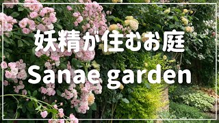 Sanae garden 〜妖精の住むお庭