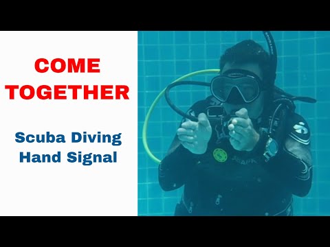 Come Together - Scuba Diving Hand Signal