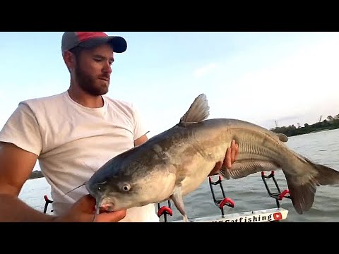 Breaking in my New Fishing Rod on some Angry Blue Catfish