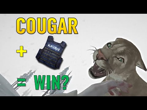 Facing the OLD Cougar FULLY ARMORED: Does it help? (Cougar 1.0, OBSOLETE VERSION)