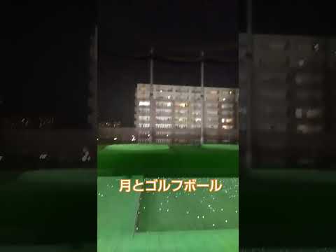 月🌕ゴルフ練習場ボール⛳ タワマン夜景 青山グリーンゴルフ #ゴルフ練習 #ゴルフ #golf #コスパ最強 #golfer #nightview #タワーマンション #ゴルフ練習場 #神奈川県 #冬