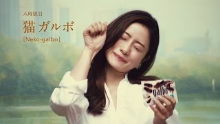 石原さとみが“猫ガルボ”！キュートすぎるアドリブ11連発　WEB限定動画「ガルボミニ食べ方講座」