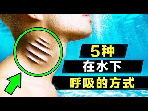 5種在水下呼吸的方式