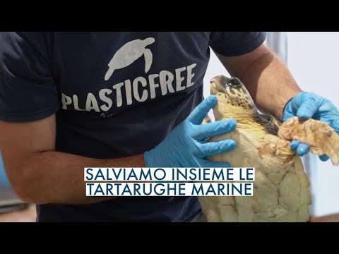 Plastic Free salva tartarughe marine