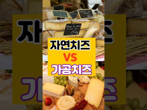 (똑똑해지는 1분 건강상식💪)자연치즈vs가공치즈 무엇이 다른가요!?