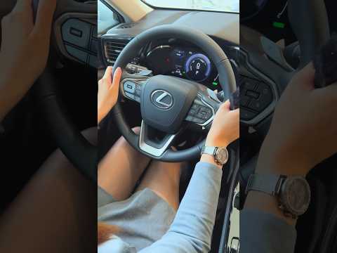 Lexus NX 250 #ASMR #LexusNX #Lexus #NX #NX250