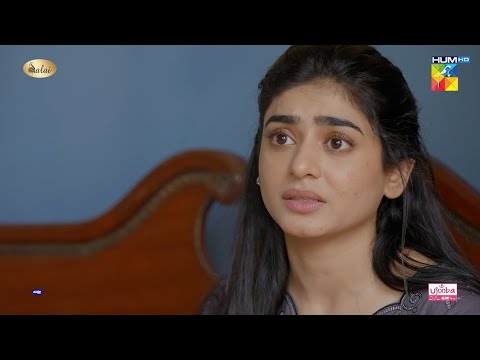 Mein Numair Ki Shakal Bhi Nahi Dekhna Chahti..!! #seharkhan #usmanmukhtar - Jafaa - HUM TV