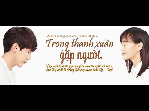 [Vietsub + Pinyin] Trong Thanh Xuân Gặp Người - Bốc Quan Kim  (Mùa hạ thoáng qua OST)