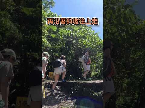 台灣最美的瀑布之一：澳花瀑布！#shorts #宜蘭旅遊 #南澳 #瀑布