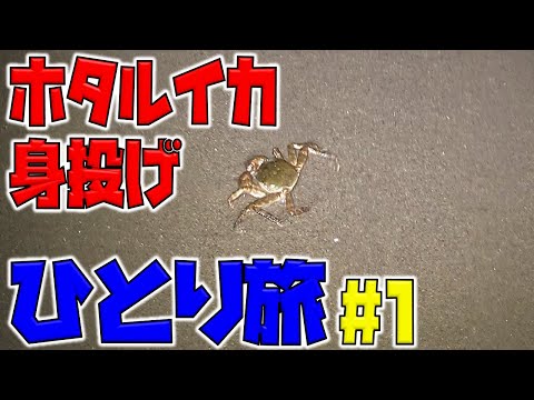 【富山一人旅#1】ホタルイカが身投げするらしいよ！自然の神秘は見れるの？