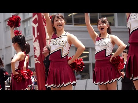 オープンキャンパス2014① 紺碧の空 早稲田大学応援部チアリーダーズBIG BEARS