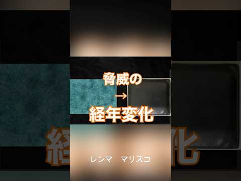 レンマ　lemma マリスコ　ペトローリオ　レビュー　#革財布 #レンマ #lemma #マリスコ　#ペトローリオ　#プエブロレザー　#コンパクト財布 #ココマイスター #メンズ財布　#レザーアイテム