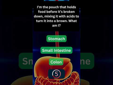 Interesting Fact About Your Digestive System! 🍽️ #BodyFacts 3