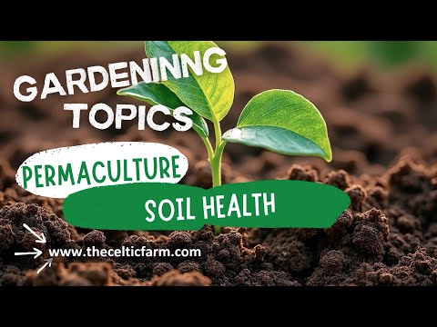 3 Game-Changing Soil Tips for a Thriving Garden | Learning from Permaculture