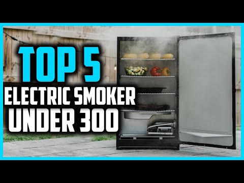 Top 5 Best Electric Smoker Under 300 in 2024